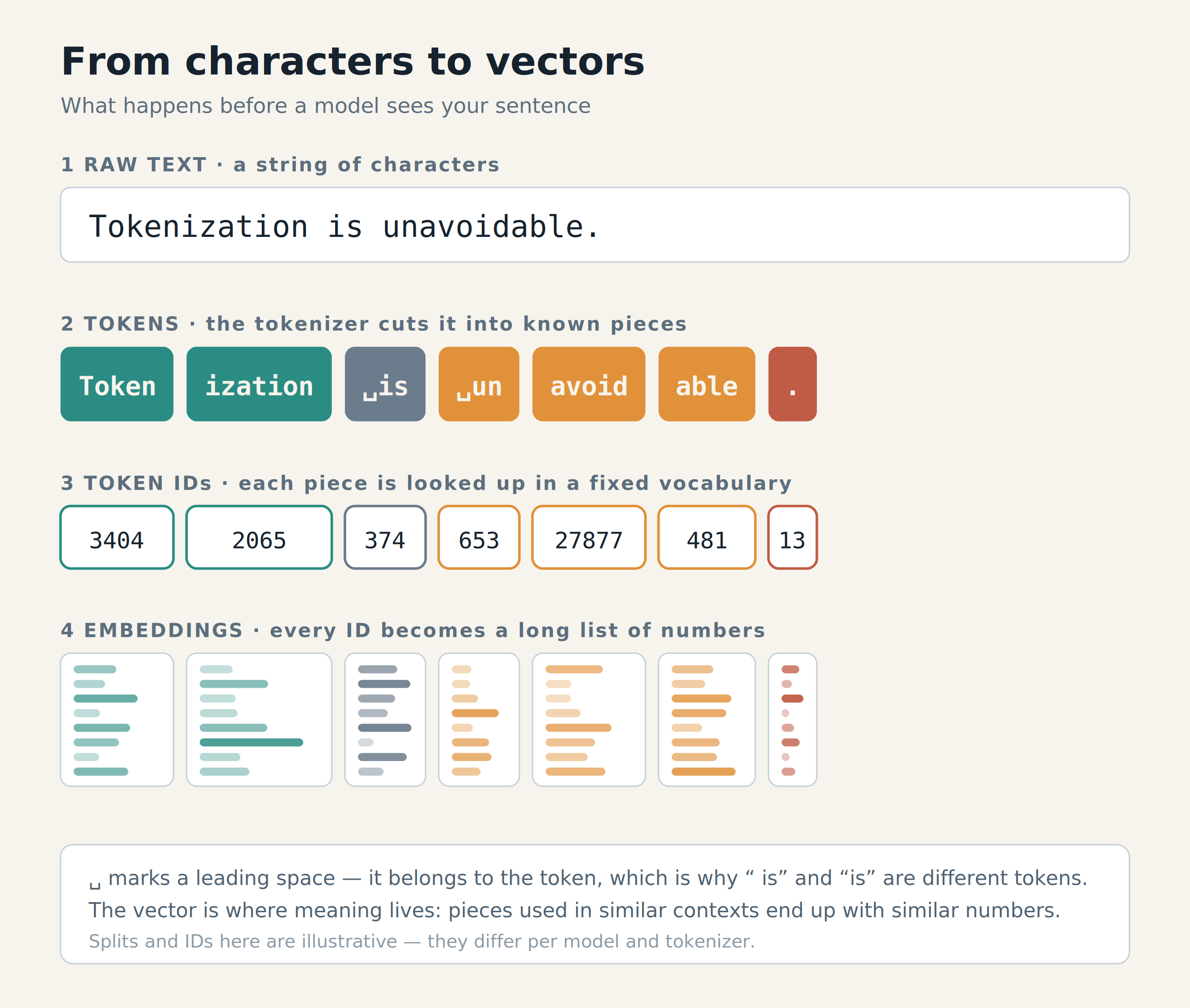 Four layers: the raw sentence, the tokens it is cut into, the integer ID of each token, and the embedding vector each ID selects